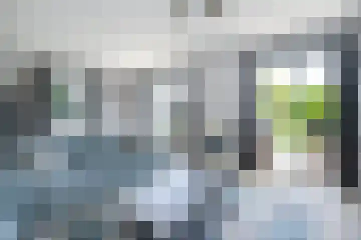 Crispijn 32 Oude-Tonge thumbnail 10