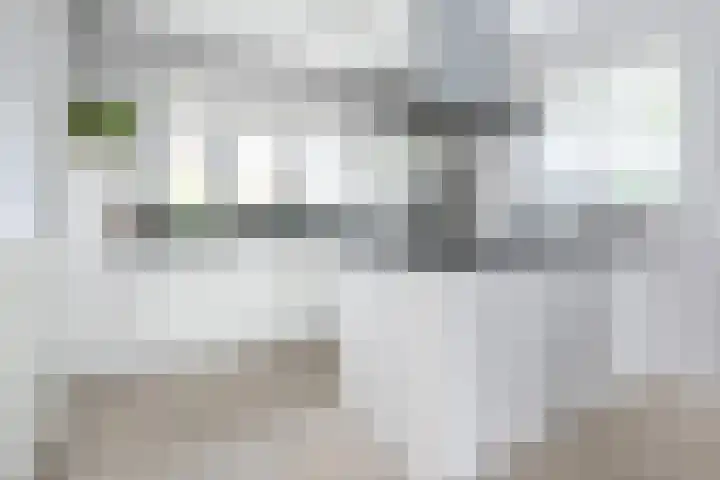 Crispijn 32 Oude-Tonge thumbnail 12