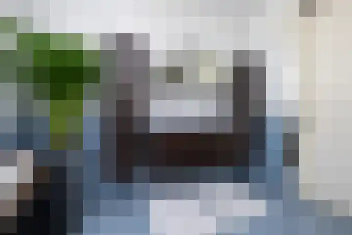 Crispijn 32 Oude-Tonge thumbnail 20