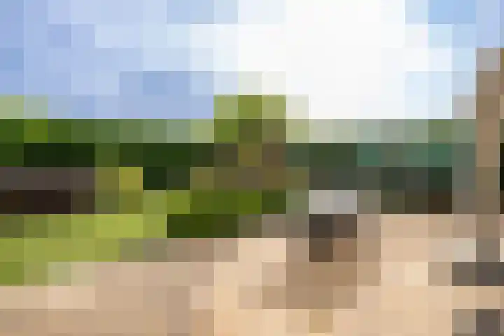 Crispijn 32 Oude-Tonge thumbnail 23
