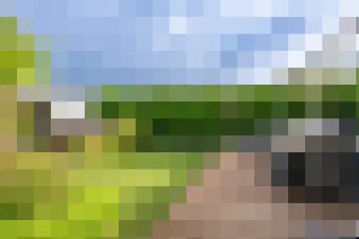 Crispijn 32 Oude-Tonge thumbnail 24
