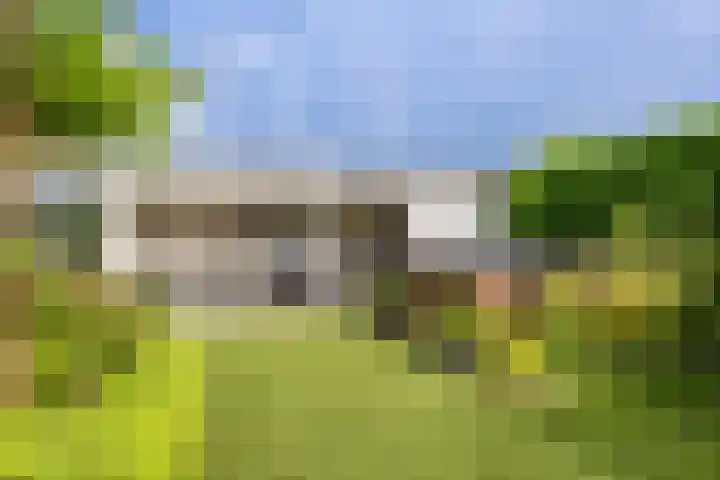 Crispijn 32 Oude-Tonge thumbnail 25