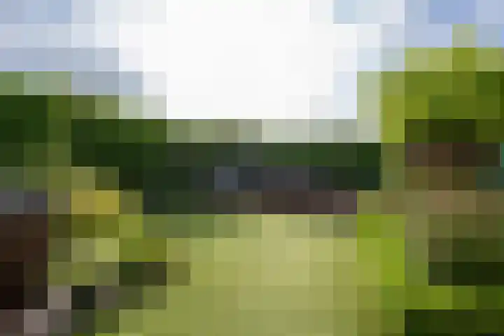 Crispijn 32 Oude-Tonge thumbnail 26