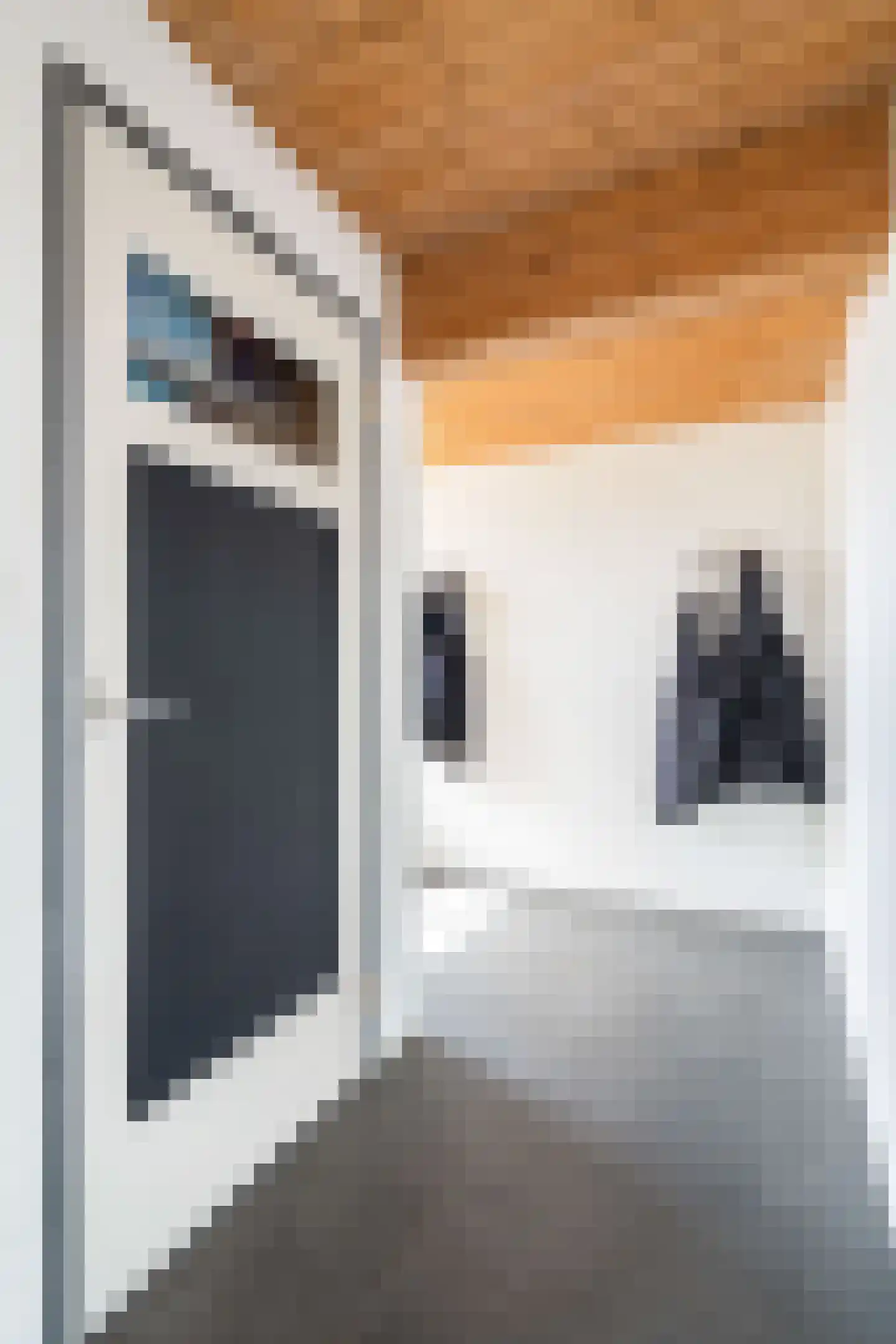Crixstraat 14 Stramproy thumbnail 18