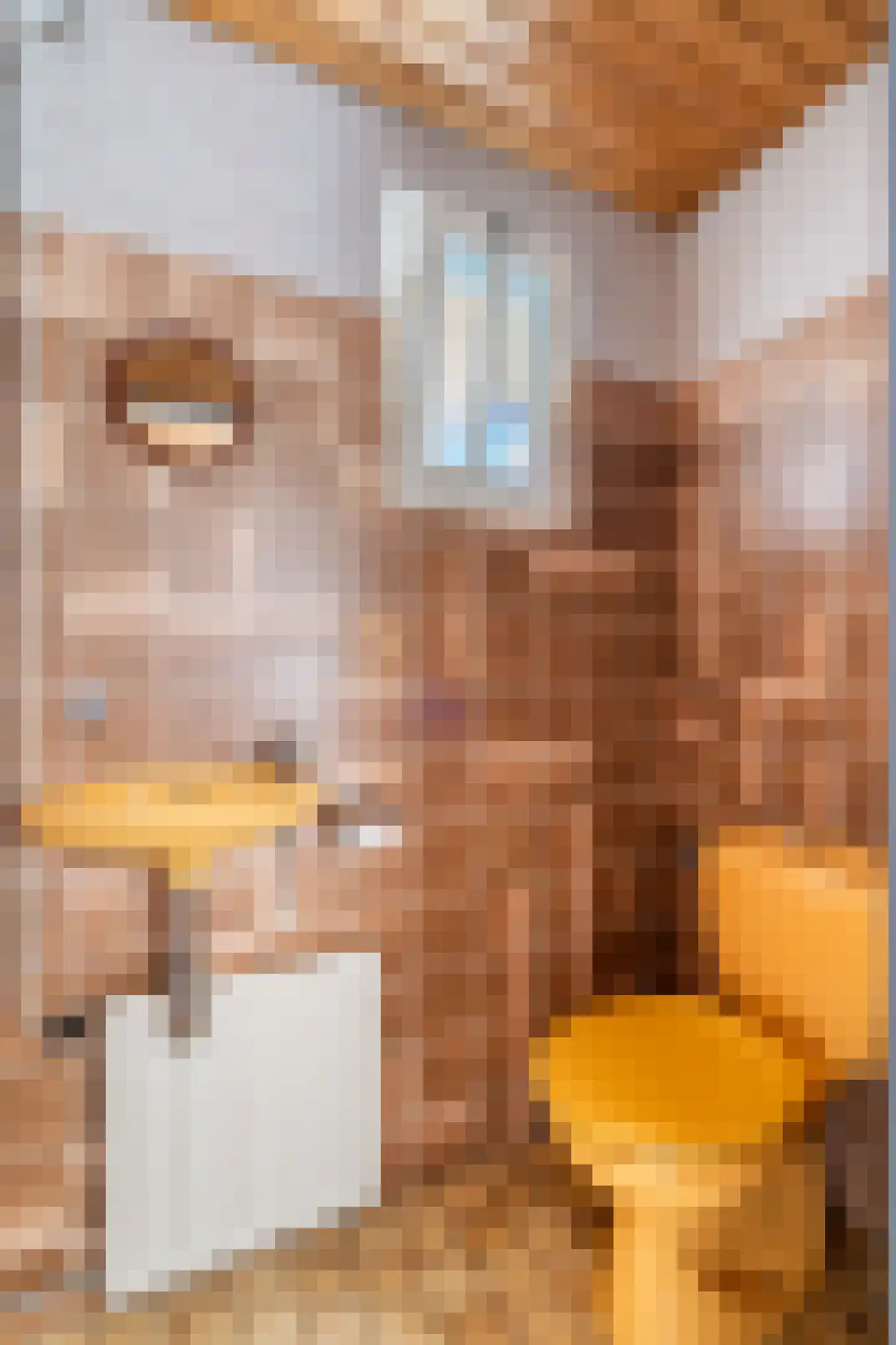 Crixstraat 14 Stramproy thumbnail 19
