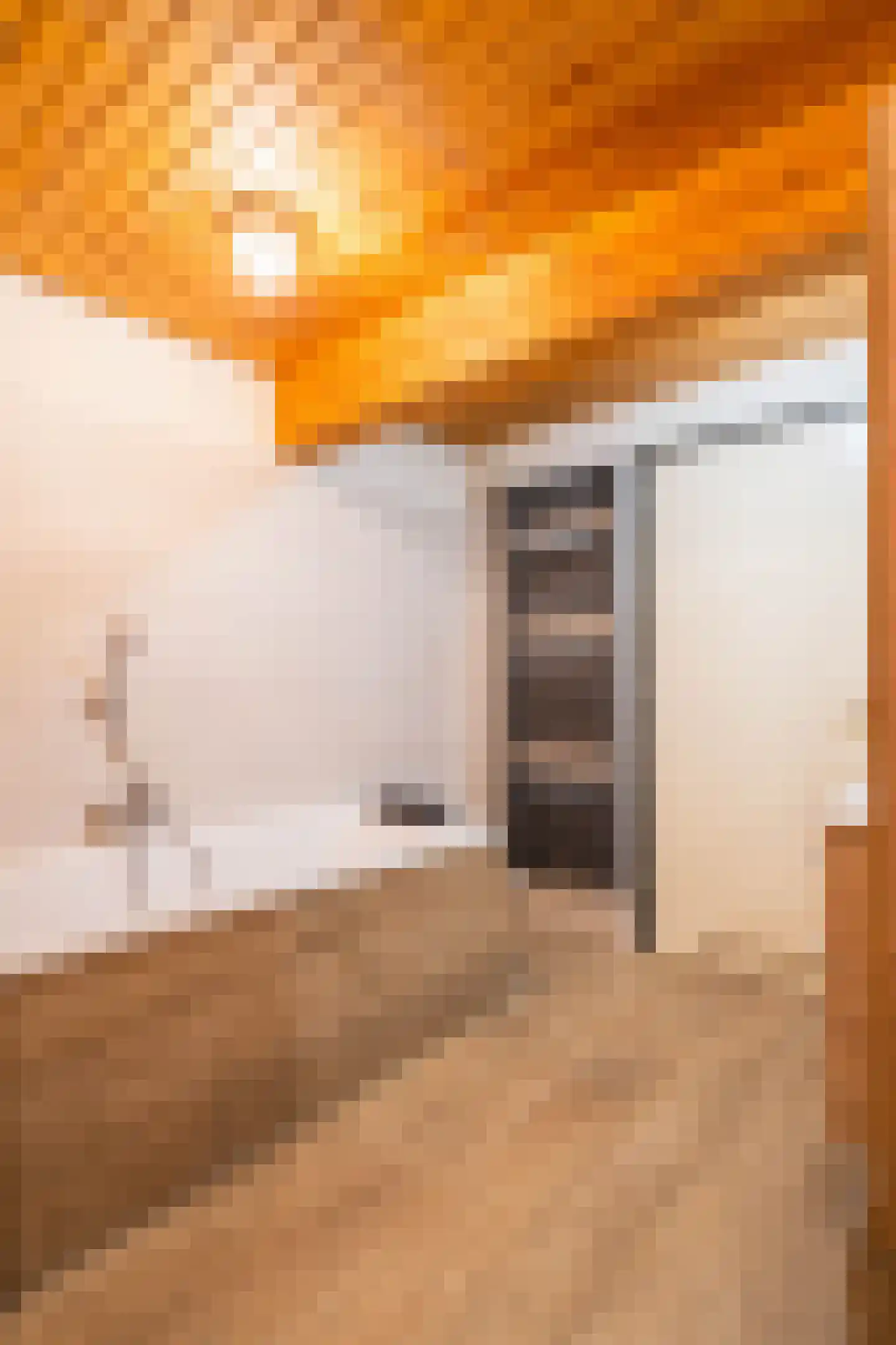 Crixstraat 14 Stramproy thumbnail 22