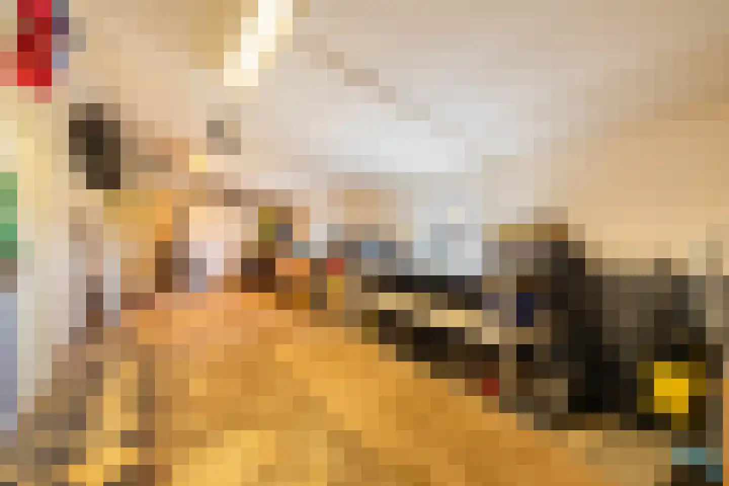 Crixstraat 14 Stramproy thumbnail 27