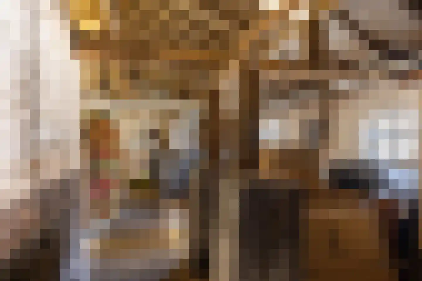 Crixstraat 14 Stramproy thumbnail 30