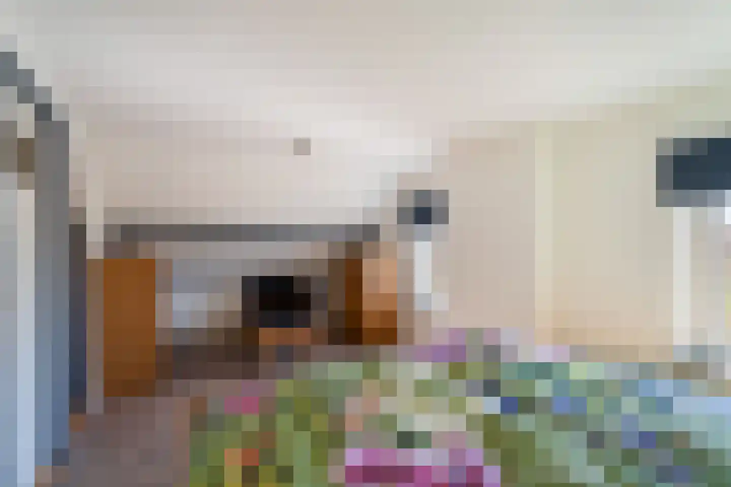 Crixstraat 14 Stramproy thumbnail 36