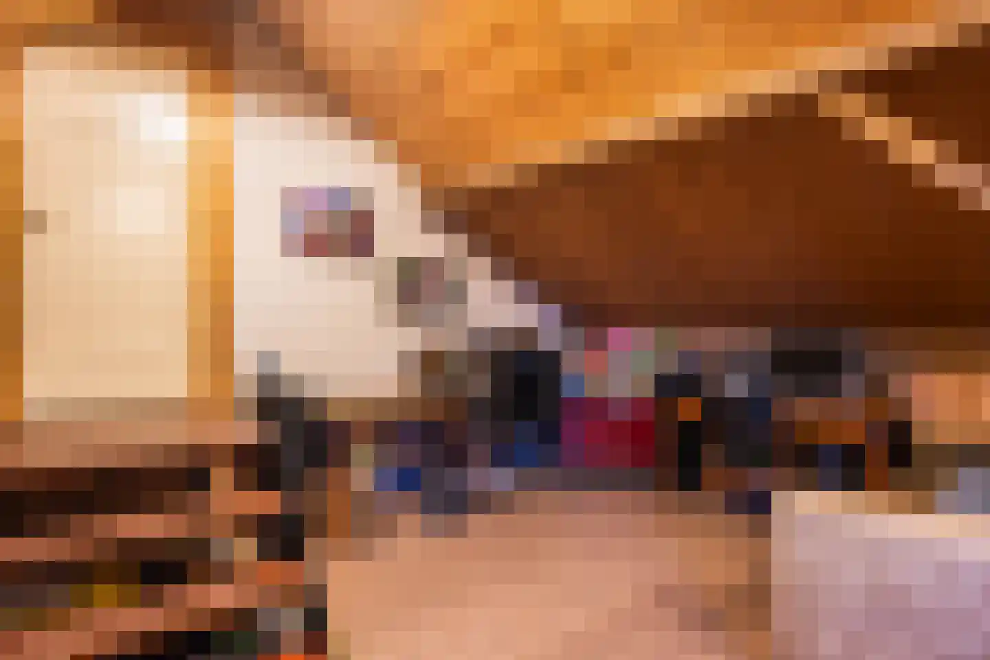 Crixstraat 14 Stramproy thumbnail 40