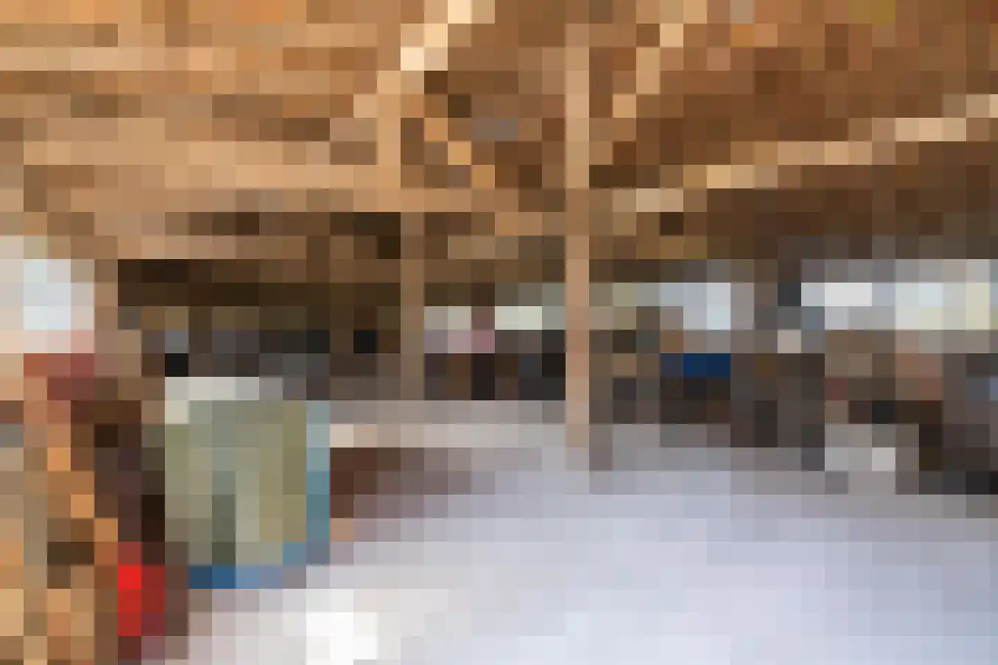 Crixstraat 14 Stramproy thumbnail 48