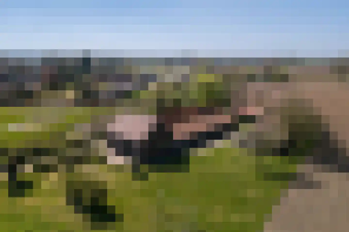Crixstraat 14 Stramproy thumbnail 5
