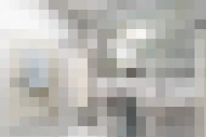 Crocuserf 42 's-Gravendeel thumbnail 22