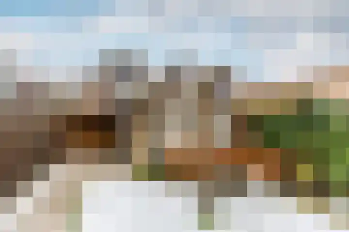 Crocuserf 42 's-Gravendeel thumbnail 27