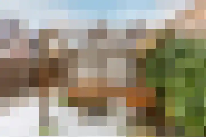 Crocuserf 42 's-Gravendeel thumbnail 28
