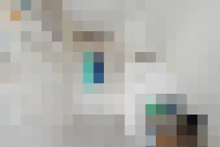 Crocuserf 48 's-Gravendeel thumbnail 20