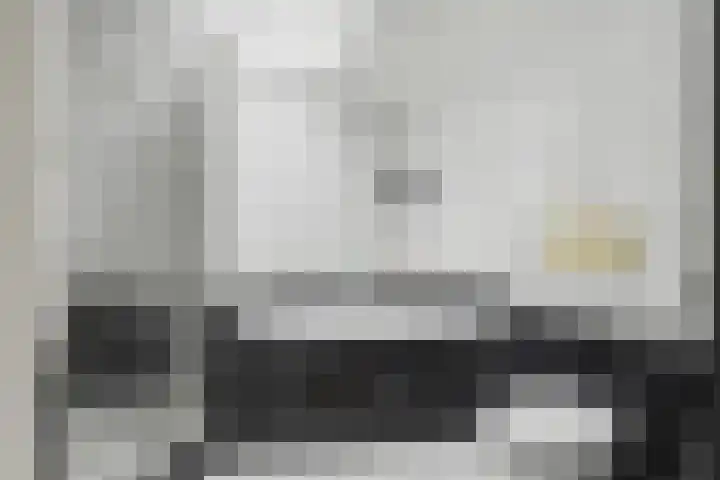 Crocuserf 48 's-Gravendeel thumbnail 23