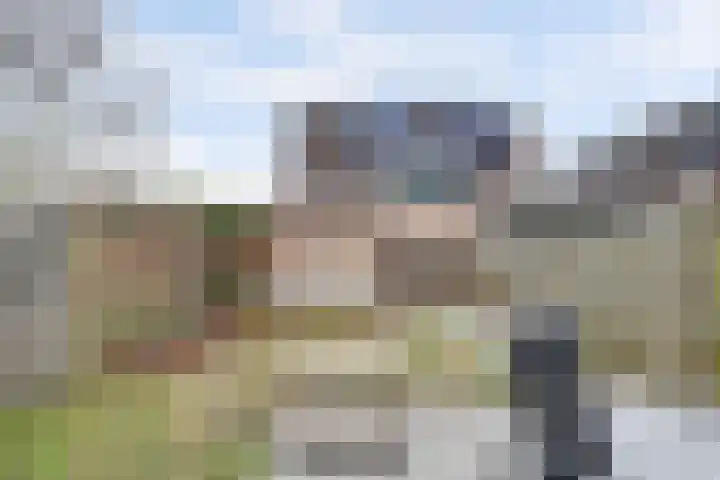 Crocuserf 48 's-Gravendeel thumbnail 28
