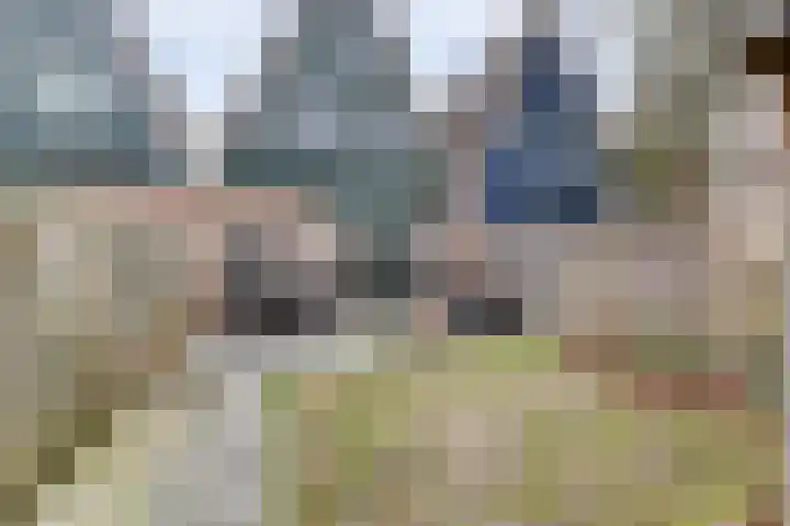 Crocuserf 48 's-Gravendeel thumbnail 29