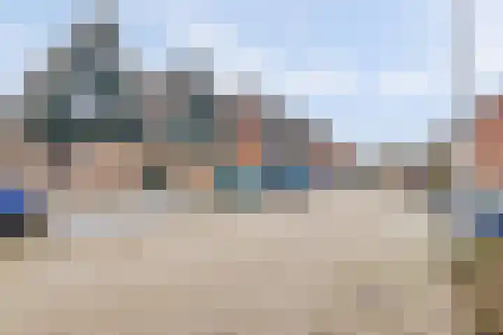 Crocuserf 48 's-Gravendeel thumbnail 31