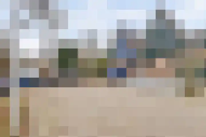 Crocuserf 48 's-Gravendeel thumbnail 32