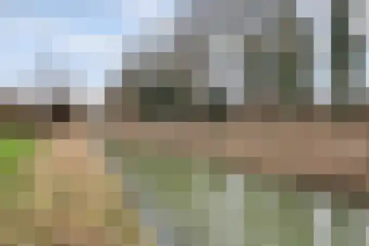 Crocuserf 48 's-Gravendeel thumbnail 34