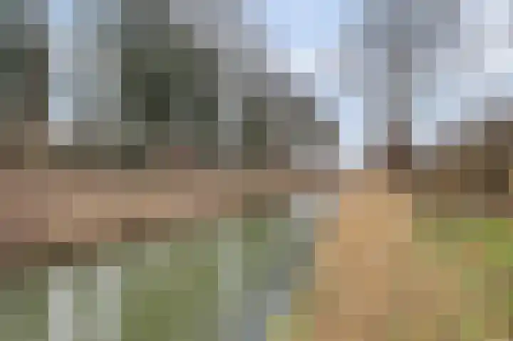 Crocuserf 48 's-Gravendeel thumbnail 35