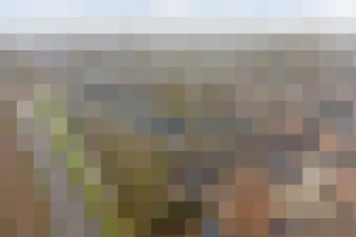 Crocuserf 48 's-Gravendeel thumbnail 37