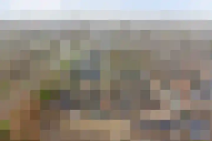 Crocuserf 48 's-Gravendeel thumbnail 38