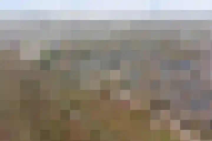 Crocuserf 48 's-Gravendeel thumbnail 39