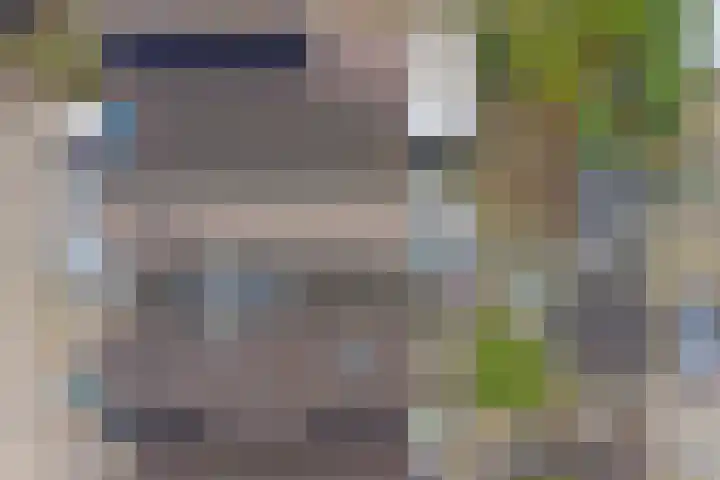Crocuserf 48 's-Gravendeel thumbnail 40