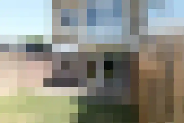Crocusstraat 16 Bocholtz thumbnail 22