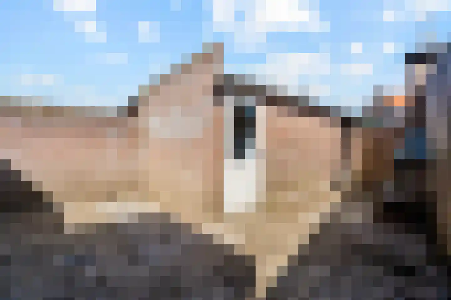 Crocusstraat 24 Uden thumbnail 30