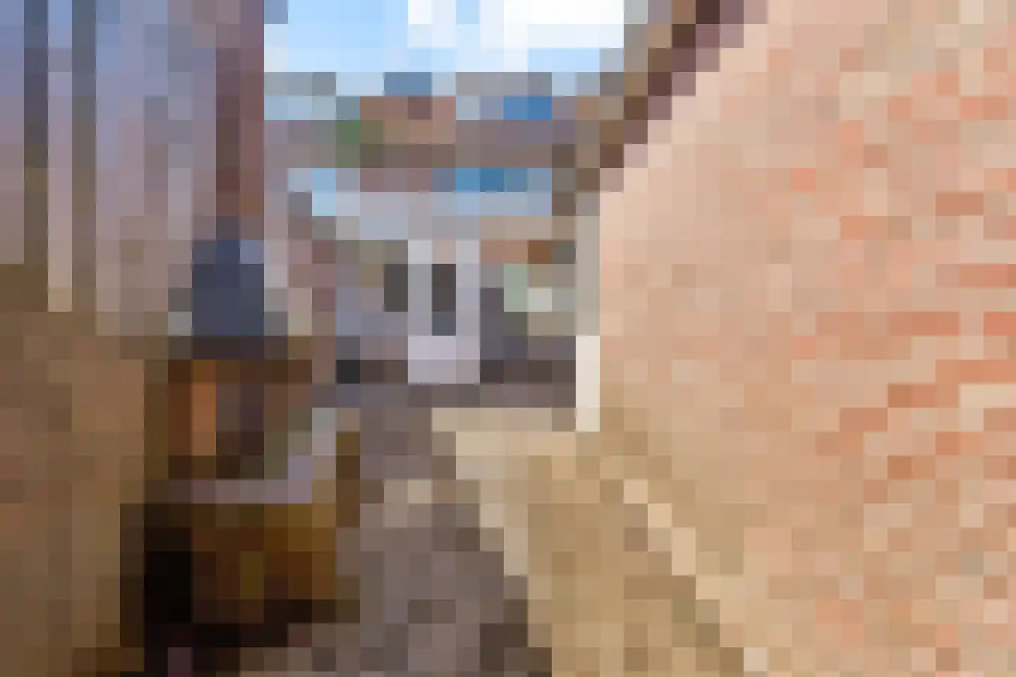 Crocusstraat 24 Uden thumbnail 33