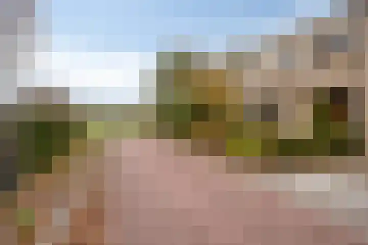 Crocusstraat 32 dans Eibergen