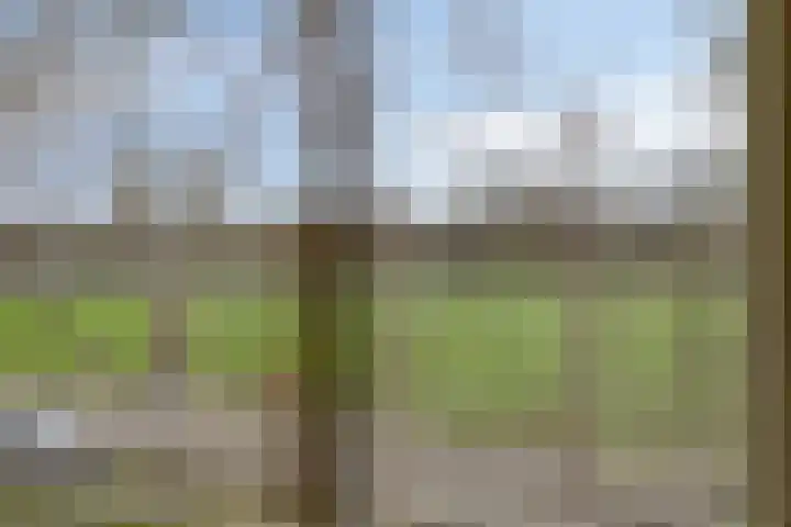 Crocusstraat 32 Eibergen thumbnail 27