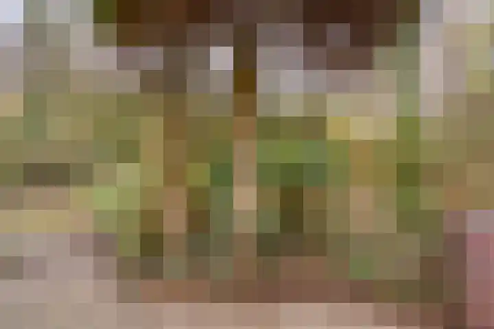 Crocusstraat 32 Eibergen thumbnail 30