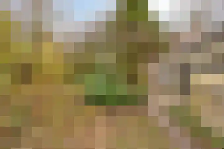 Crocusstraat 32 Eibergen thumbnail 31