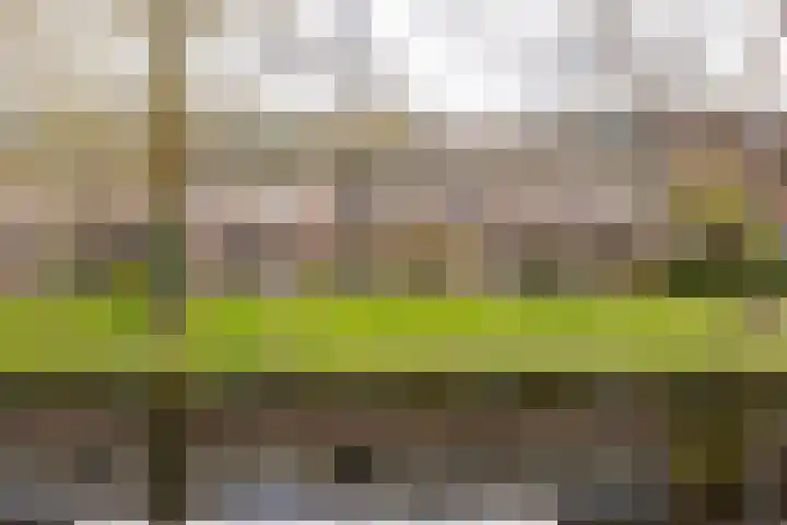 Croessrak 10 Leusden thumbnail 35