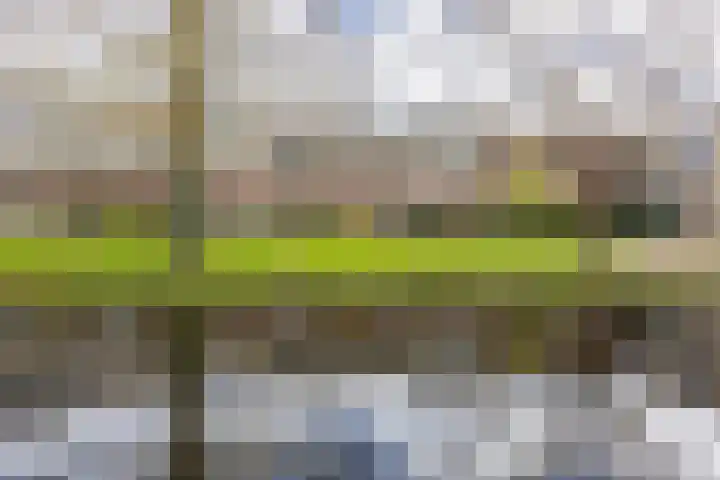 Croessrak 10 Leusden thumbnail 36