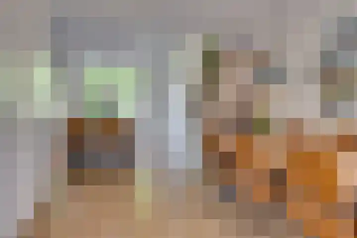 Croessrak 19 Leusden thumbnail 14