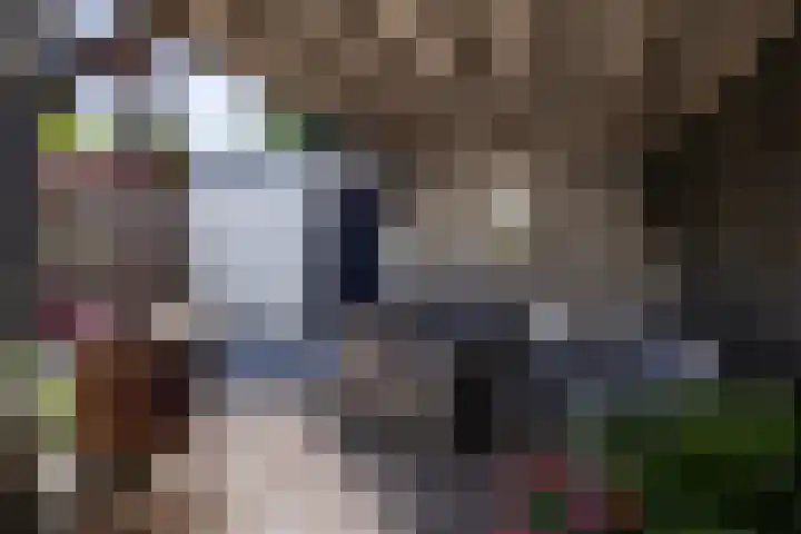 Croessrak 19 Leusden thumbnail 17