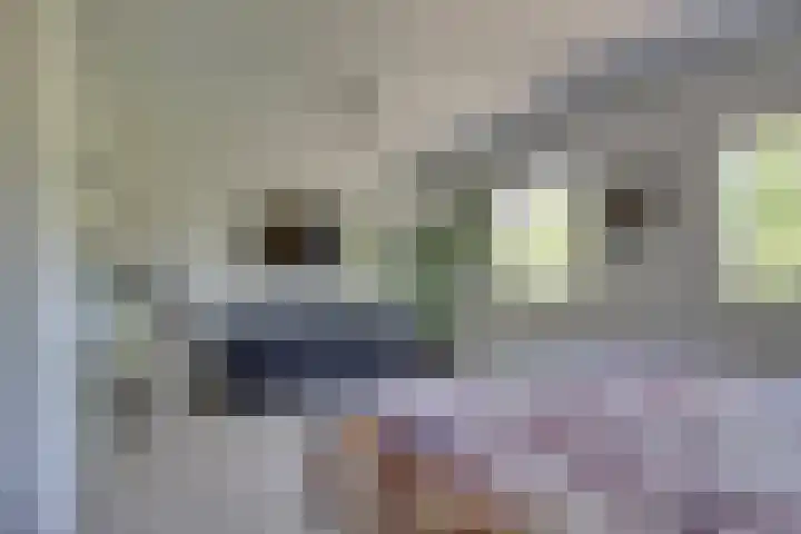 Croessrak 19 Leusden thumbnail 24