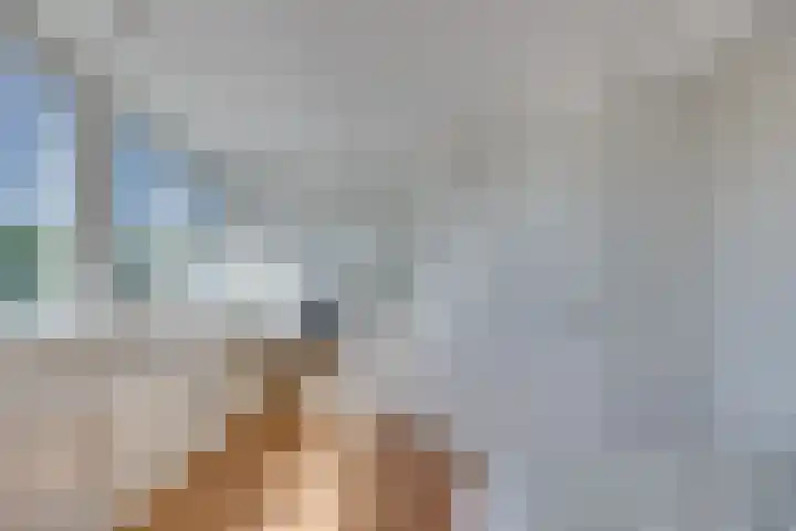 Croessrak 19 Leusden thumbnail 36
