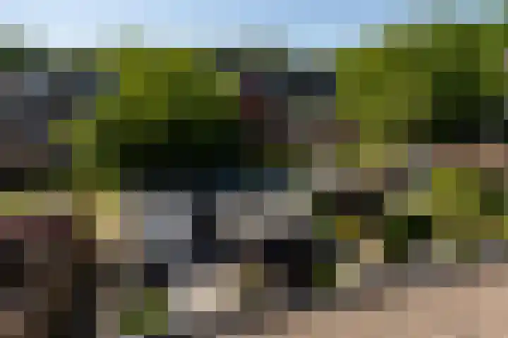 Croessrak 19 Leusden thumbnail 37