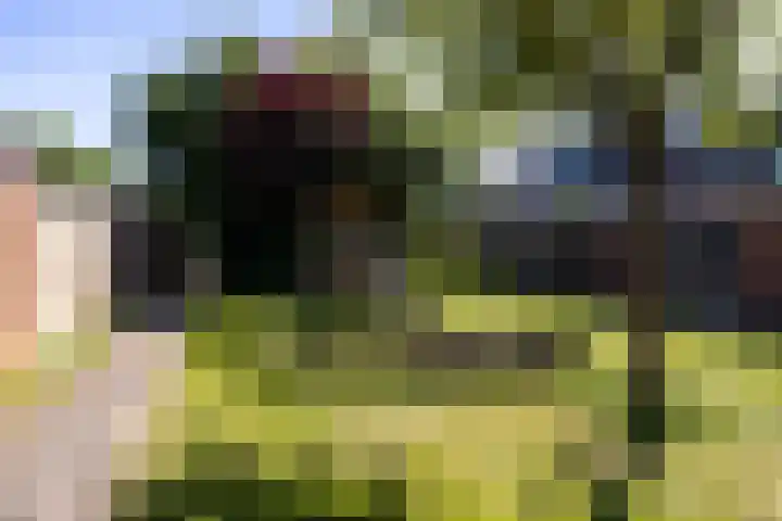 Croessrak 19 Leusden thumbnail 41