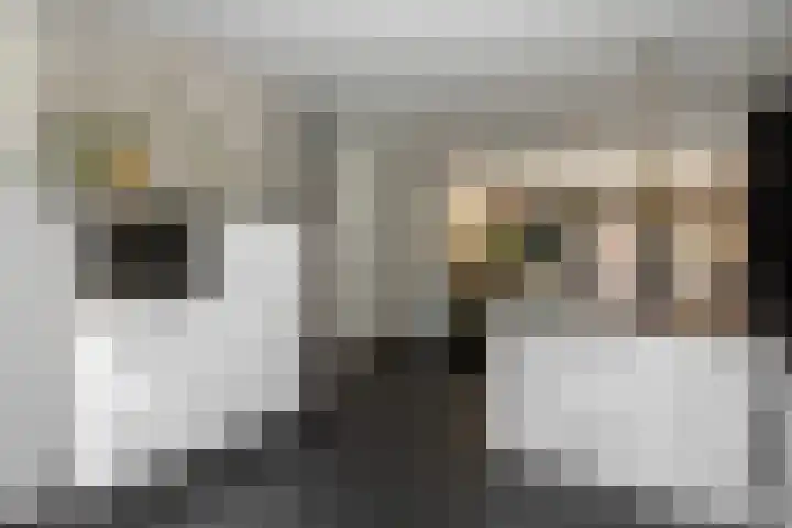 Cromme Ackerstede 72 Vaassen thumbnail 14