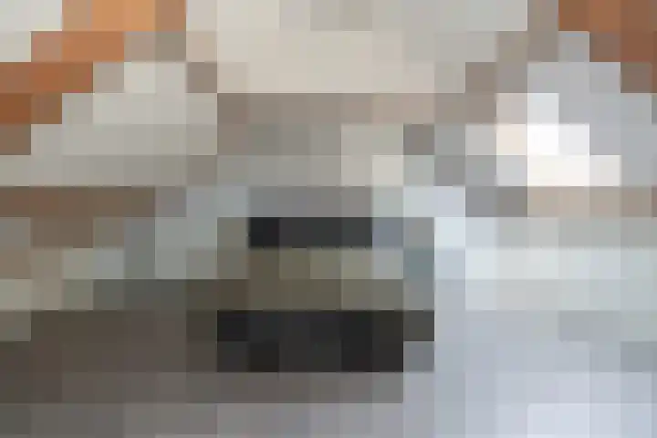 Cromme Ackerstede 72 Vaassen thumbnail 24