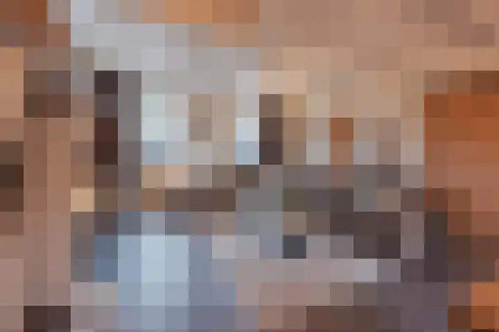 Crommentuijnstraat 12 Meterik thumbnail 14