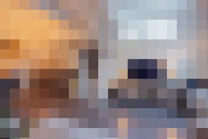 Crommentuijnstraat 12 Meterik thumbnail 17
